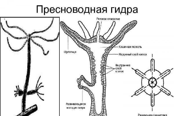 Кракен заблокировали