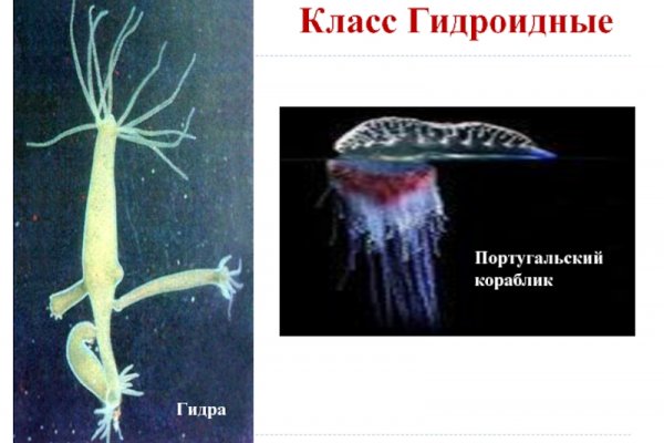 Kraken зеркало рабочее