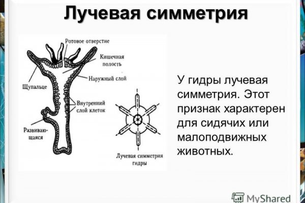 Какая ссылка у кракена