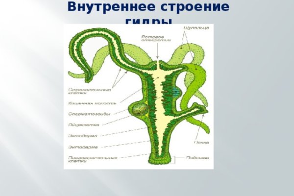 Кракен пользователь не найден что делать