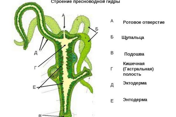 Сайт кракен закрыли